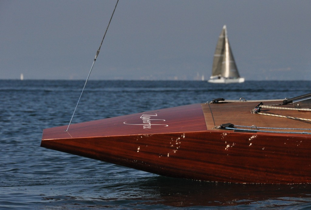 SUI_167_7